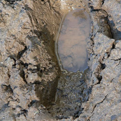 footprint-sinking-in-mud